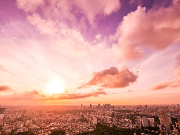 Вид Высоты Птичьего Полета Архитектуру Здания Вокруг Города Токио Закате — стоковое фото