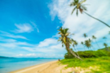 Soyut bulanıklık ve tropikal plaj ve deniz seyahat ve tatil için Hindistan cevizi hurma ağacı arka plan ile defocused