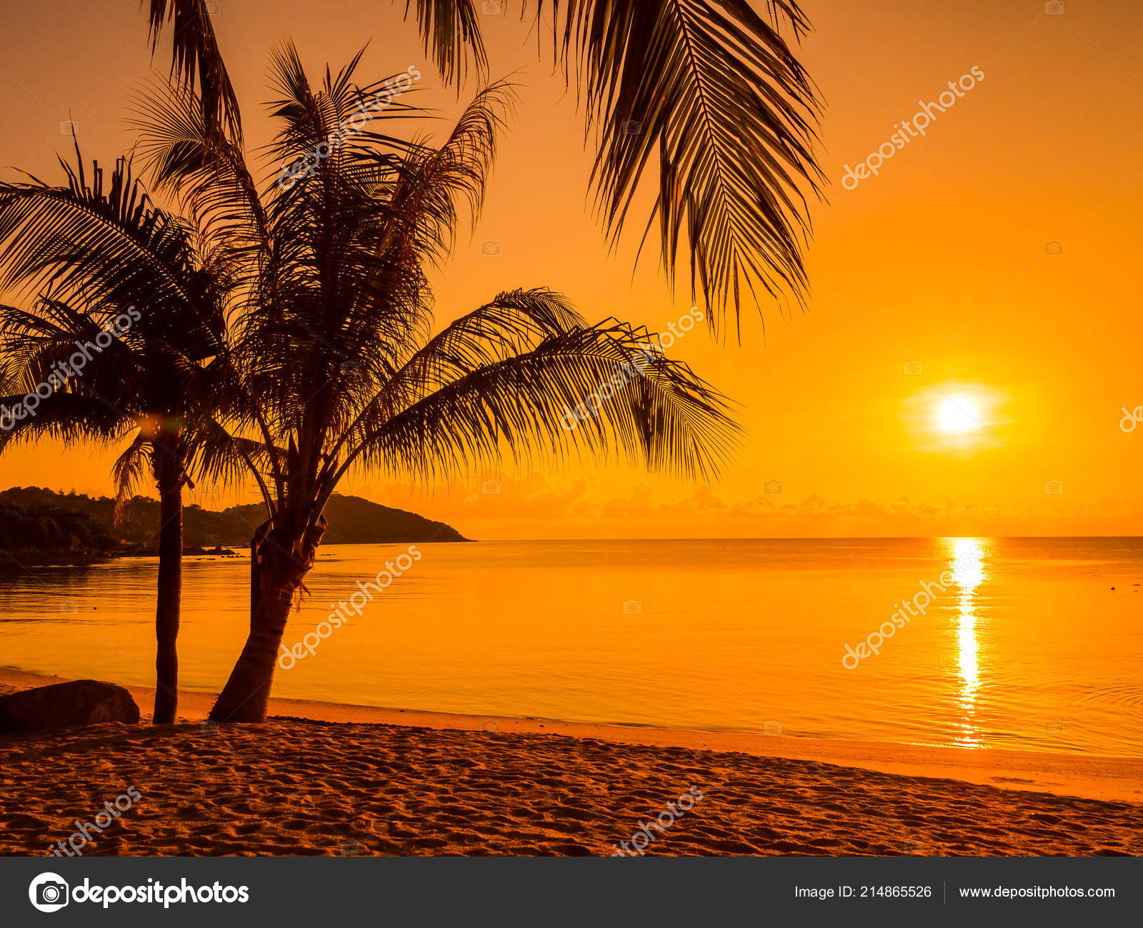 Beautiful Tropical Beach Sea Ocean Coconut Palm Tree Sunrise Time — Stock  Photo © mrsiraphol #214865526, image size:1600x1300