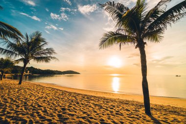 Günbatımı zaman tropik cennet ada plaj ve deniz ile Hindistan cevizi palmiye ağacı üzerinde tatil ve tatil için