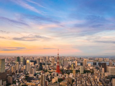 Japonya'da günbatımı zaman şehirde bina mimari ve tokyo kule güzel havadan görünümü