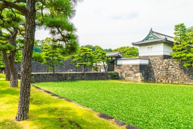 Güzel eski mimari İmparatorluk Sarayı Kalesi hendek ve Tokyo şehir Japonya köprüsünde