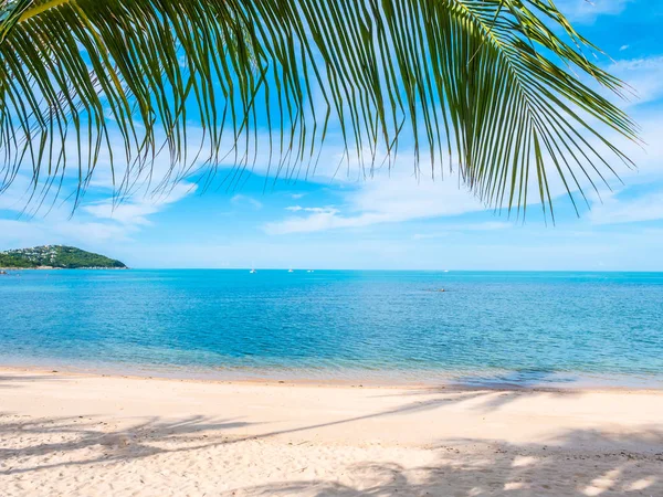美丽的热带海滩和海与椰子棕榈树为旅行和假期 — 图库照片