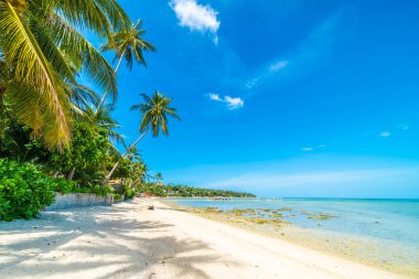 Güzel tropikal plaj deniz ve kum mavi gökyüzü ve beyaz bulut seyahat ve tatil için Hindistan cevizi hurma ağacı ile