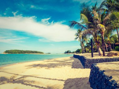 Güzel tropikal plaj ve deniz ile Hindistan cevizi hurma ağacının seyahat ve tatil