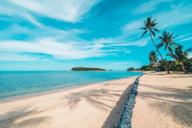 Güzel tropikal plaj deniz ve kum mavi gökyüzü ve beyaz bulut seyahat ve tatil için Hindistan cevizi hurma ağacı ile