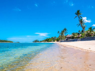 Güzel tropikal plaj ve deniz ile Hindistan cevizi hurma ağacının seyahat ve tatil