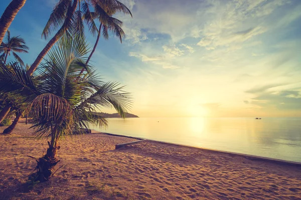 Napnyugta Időpontja Trópusi Paradicsomban Island Beach Kókusz Pálma Tenger Üdülés — Stock Fotó