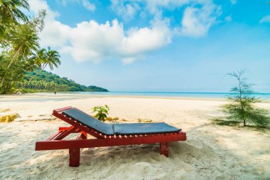 Sandalyenin üstünde güzel tropikal plaj ve deniz ile Hindistan cevizi hurma ağacı Cennet Adası