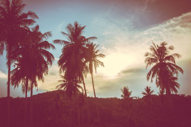 Gökyüzü günbatımı zaman - Vintage filtre tropikal doğa ve siluet Hindistan cevizi hurma ağacı ile güzel açık görünüm