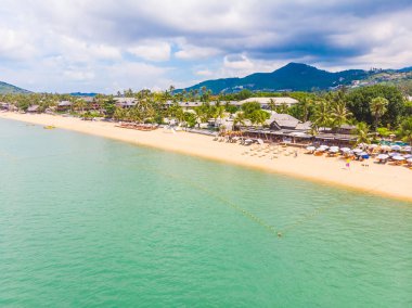 Güzel tropikal plaj ve deniz hurma ve koh samui Adası seyahat ve tatil için diğer ağacında havadan görünümü