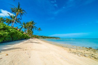 Güzel tropikal plaj deniz ve kum mavi gökyüzü ve beyaz bulut seyahat ve tatil için Hindistan cevizi hurma ağacı ile
