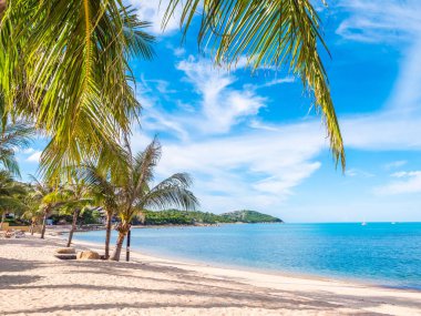 Güzel tropikal plaj ve deniz ile Hindistan cevizi hurma ağacının seyahat ve tatil