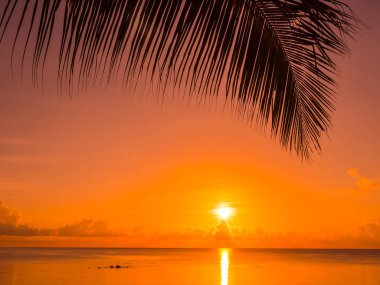 Güzel tropikal plaj deniz ve okyanus ile Hindistan cevizi hurma ağacı gündoğumu zaman seyahat ve tatil için