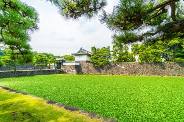 Güzel eski mimari İmparatorluk Sarayı Kalesi hendek ve Tokyo şehir Japonya köprüsünde