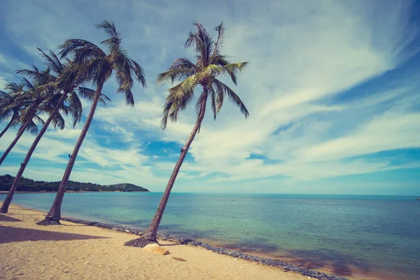 Красивый Тропический Пляж Море Песок Кокосовой Пальмой Голубом Небе Белое — стоковое фото