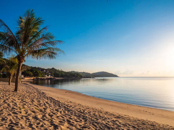 Pięknej Tropikalnej Plaży Morza Palmy Kokosowe Drzewo Podróże Wakacje — Zdjęcie stockowe