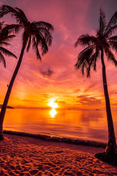 At sunset time on the tropical paradise island beach and sea with coconut palm tree for holiday and vacation