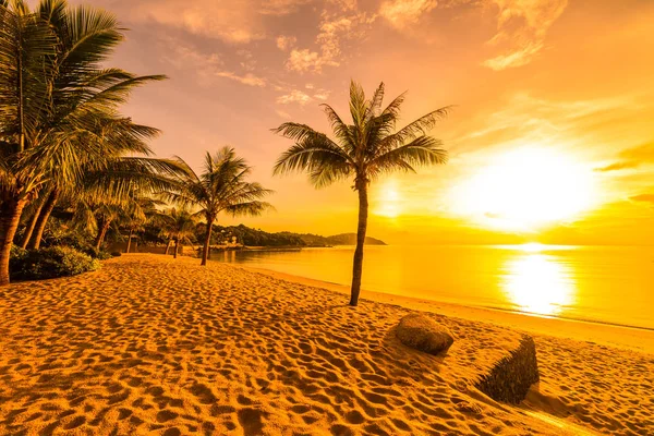 Atardecer Playa Tropical Isla Paradisíaca Mar Con Palmera Coco Para —  Fotos de Stock