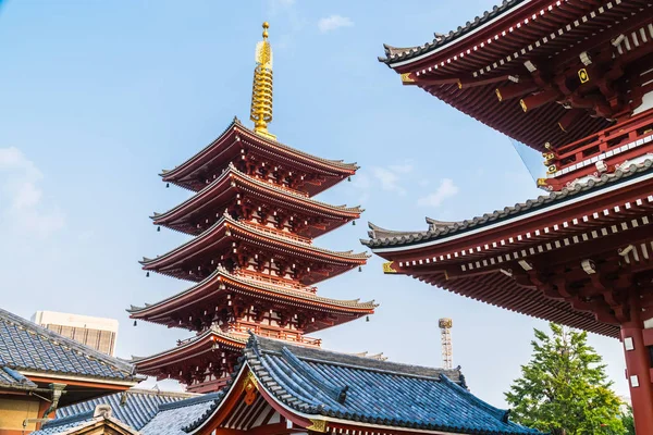 Bella Architettura Edificio Sensoji Tempio Luogo Famoso Visita Asakusa Zona — Foto Stock