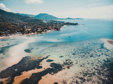 Güzel tropikal plaj ve deniz hurma ve koh samui Adası seyahat ve tatil için diğer ağacında havadan görünümü