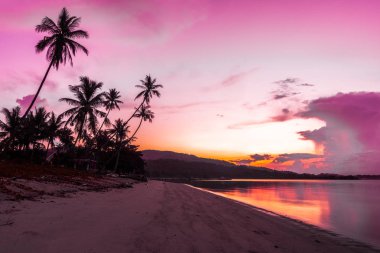 Güzel açık görünüm ea okyanus ve plaj tropikal Hindistan cevizi hurma ağacı gündoğumu zaman tatil tatil ve seyahat için
