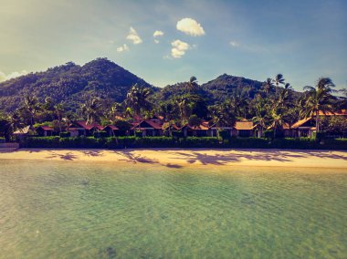 Seyahat ve tatil için adada güzel tropikal plaj ve deniz ağaçları ile havadan görünümü