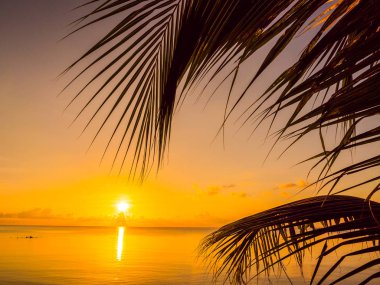 Güzel tropikal plaj deniz ve okyanus ile Hindistan cevizi hurma ağacı gündoğumu zaman seyahat ve tatil için