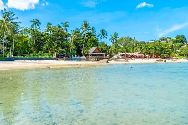 Vacker Tropisk Strand Hav Och Sand Med Coconut Palm Tree — Stockfoto