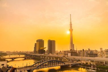 Tokyo city tokyo gökyüzü ağaca gündoğumu Japonya ile bina güzel mimari