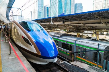 Tokyo Japonya - 5 Ağustos 2018: Japonya'da tren ve metro istasyonu uzaklıktadır popüler ulaşım