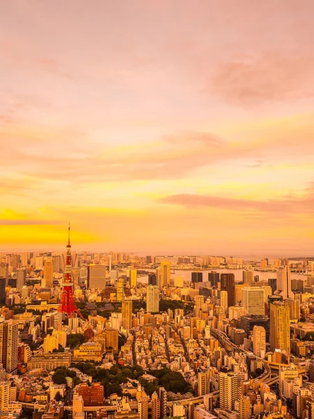 Japonya'da günbatımı zaman şehirde bina mimari ve tokyo kule güzel havadan görünümü