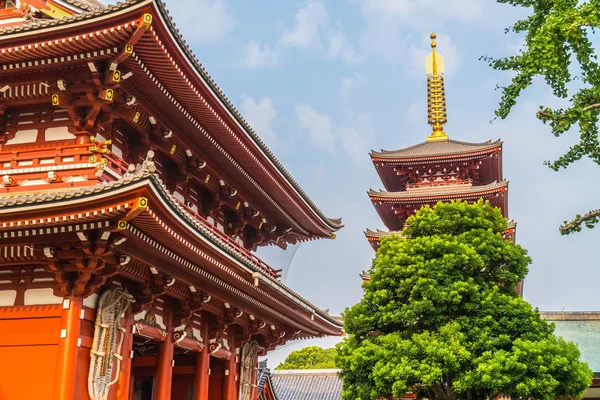 Güzel Mimari Sensoji Tapınağı Inşa Ünlü Ziyaret Asakusa Alan Tokyo — Stok fotoğraf