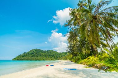 Güzel tropikal plaj ve deniz paradise Island Seyahat ve tatil için Hindistan cevizi hurma ağacı