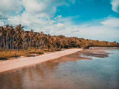 Güzel tropikal plaj ve deniz hurma ve koh samui Adası seyahat ve tatil için diğer ağacında havadan görünümü