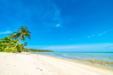 Güzel tropikal plaj deniz ve kum mavi gökyüzü ve beyaz bulut seyahat ve tatil için Hindistan cevizi hurma ağacı ile