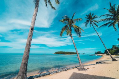 Güzel tropikal plaj deniz ve kum mavi gökyüzü ve beyaz bulut seyahat ve tatil için Hindistan cevizi hurma ağacı ile