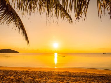 Güzel tropikal plaj deniz ve okyanus ile Hindistan cevizi hurma ağacı gündoğumu zaman seyahat ve tatil için