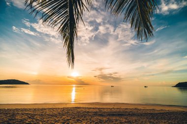 Günbatımı zaman tropik cennet ada plaj ve deniz ile Hindistan cevizi palmiye ağacı üzerinde tatil ve tatil için