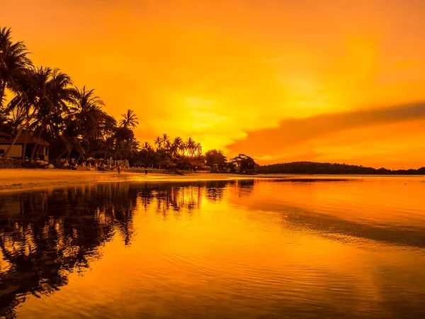 Beautiful Tropical Beach Sea Ocean Coconut Palm Tree Sunrise Time — Stock Photo, Image