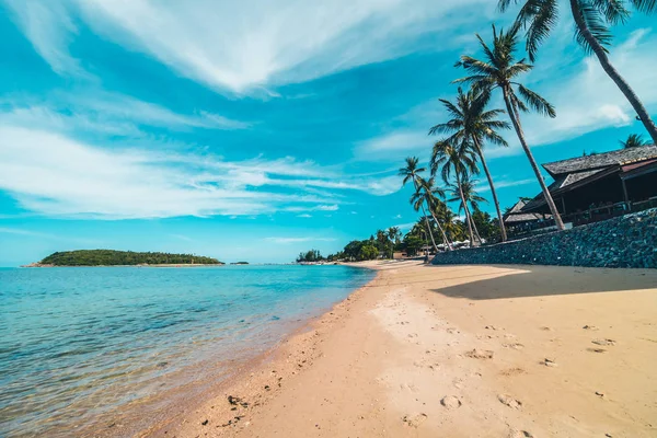 Schöner Tropischer Strand Meer Und Sand Mit Kokospalmen Blauen Himmel — Stockfoto