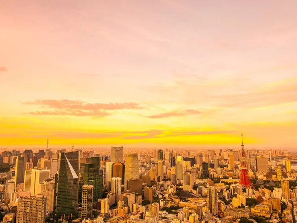 Beautiful Aerial View Architecture Tokyo Tower Building City Sunset Time — Stock Photo, Image