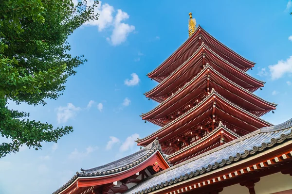 Güzel Mimari Sensoji Tapınağı Inşa Ünlü Ziyaret Asakusa Alan Tokyo — Stok fotoğraf