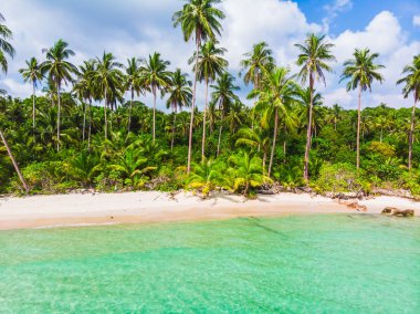 Mavi gökyüzünde Cennet Adası üzerinde güzel bir plaj ve deniz Hindistan cevizi hurma ağacı ile havadan görünümü