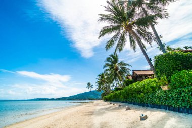 Güzel tropikal plaj deniz ve kum mavi gökyüzü ve beyaz bulut seyahat ve tatil için Hindistan cevizi hurma ağacı ile