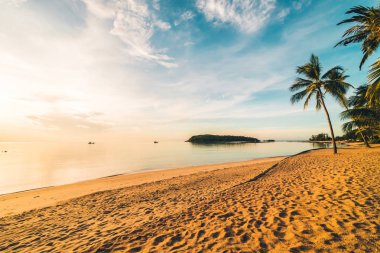 Günbatımı zaman tropik cennet ada plaj ve deniz ile Hindistan cevizi palmiye ağacı üzerinde tatil ve tatil için