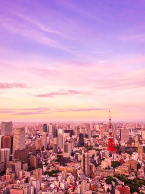 Japonya'da günbatımı zaman şehirde bina mimari ve tokyo kule güzel havadan görünümü