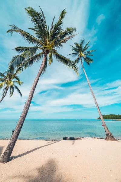 Beautiful tropical beach sea and sand with coconut palm tree on blue sky and white cloud for travel and vacation