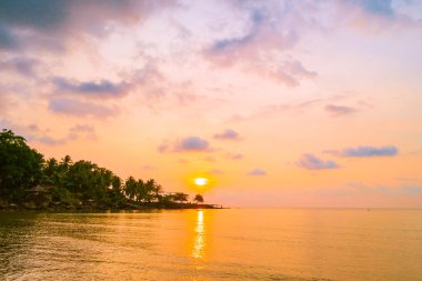 Plaj ve deniz Hindistan cevizi hurma ağacı günbatımı zaman - tatil tatil ve seyahat kavramı etrafında güzel Cennet Adası
