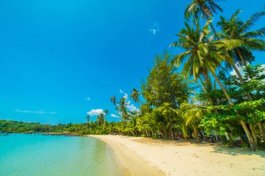 Güzel tropikal plaj ve deniz paradise Island Seyahat ve tatil için Hindistan cevizi hurma ağacı